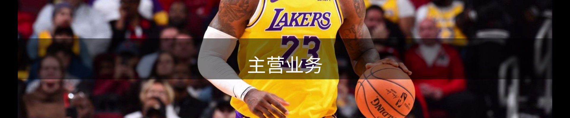主营业务
