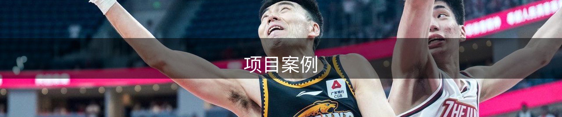 项目案例